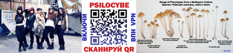 Псилоцибиновые грибы GOLDEN TEACHER  Купить где  Аткарск 