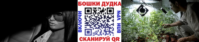 Канабис ГИДРОПОН  Купить закладки  Аткарск 